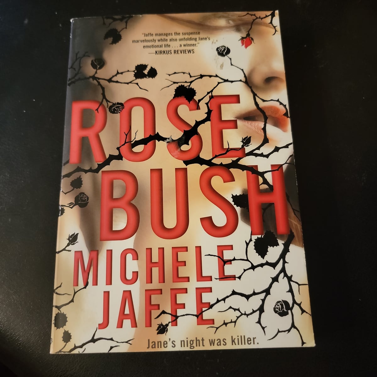 Rosebush by Michele Jaffe