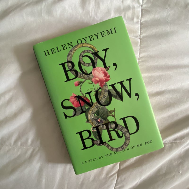 Boy, Snow, Bird