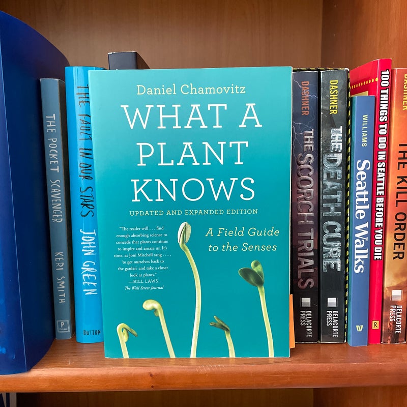 What a Plant Knows