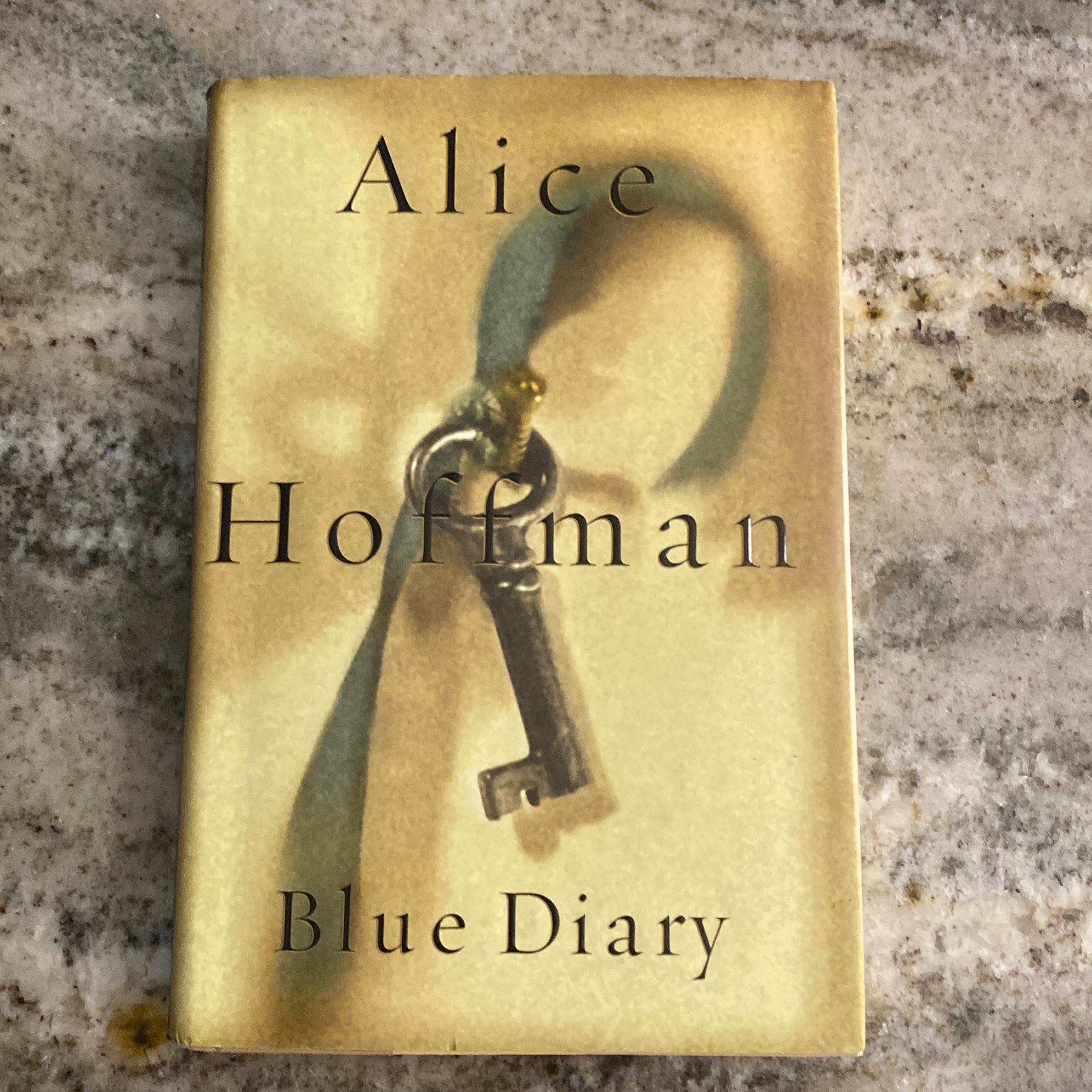 Blue Diary