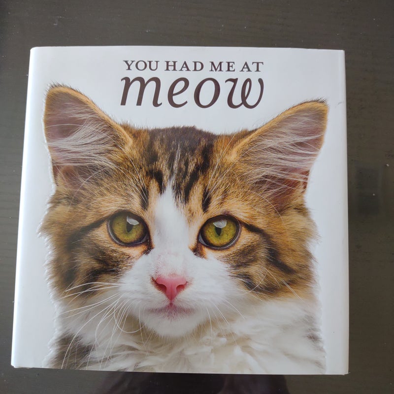 You Had Me at Meow