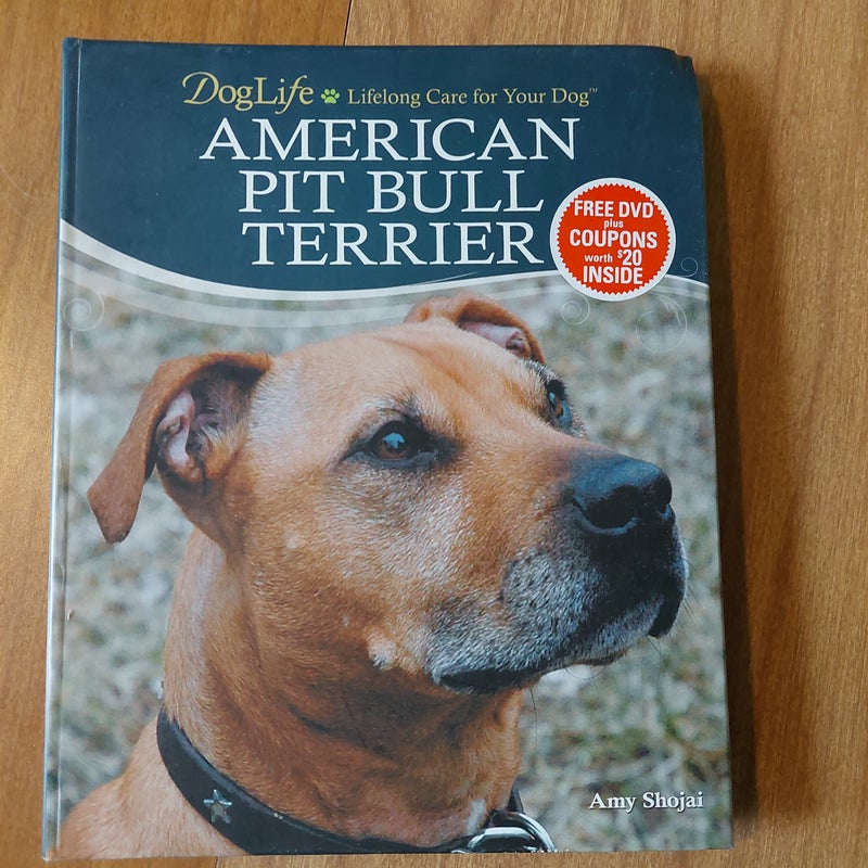 American Pit Bull Terrier