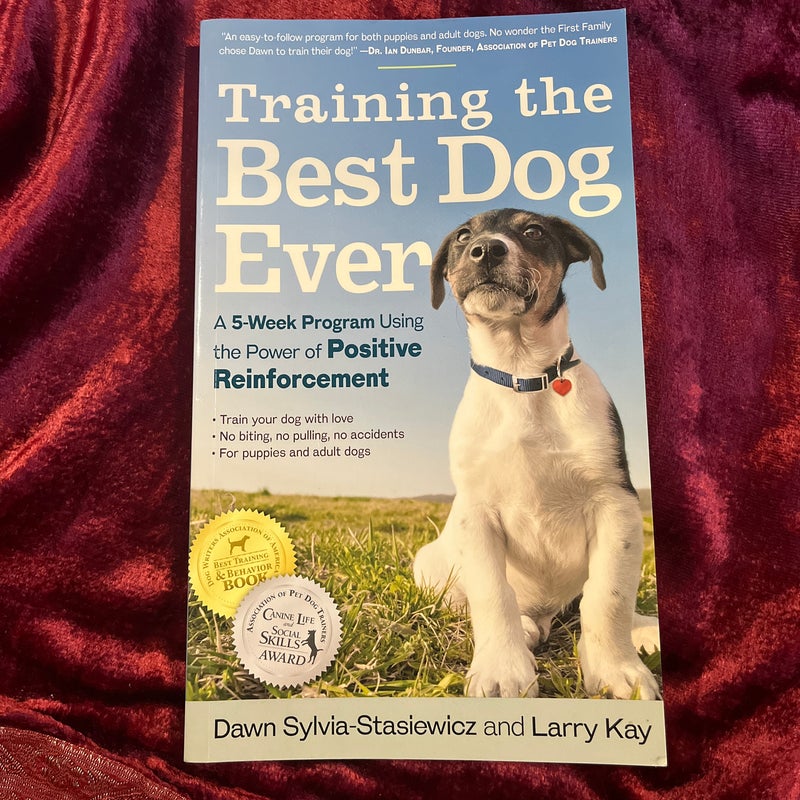 Training the Best Dog Ever