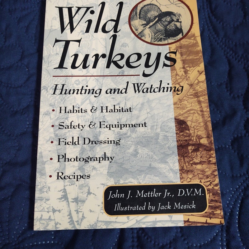 Wild Turkeys