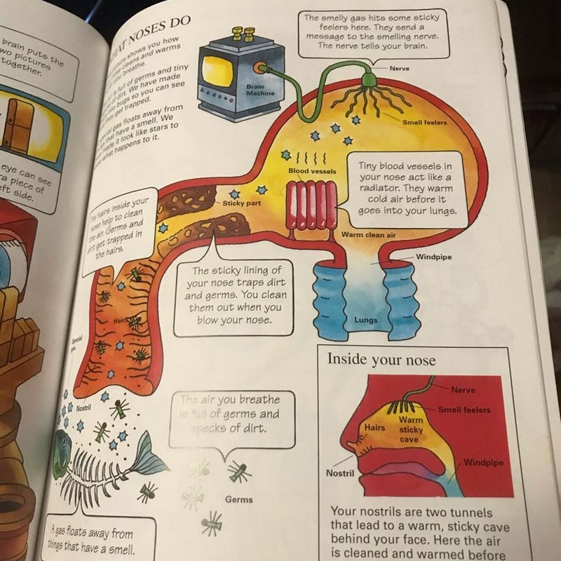 How Your Body Works