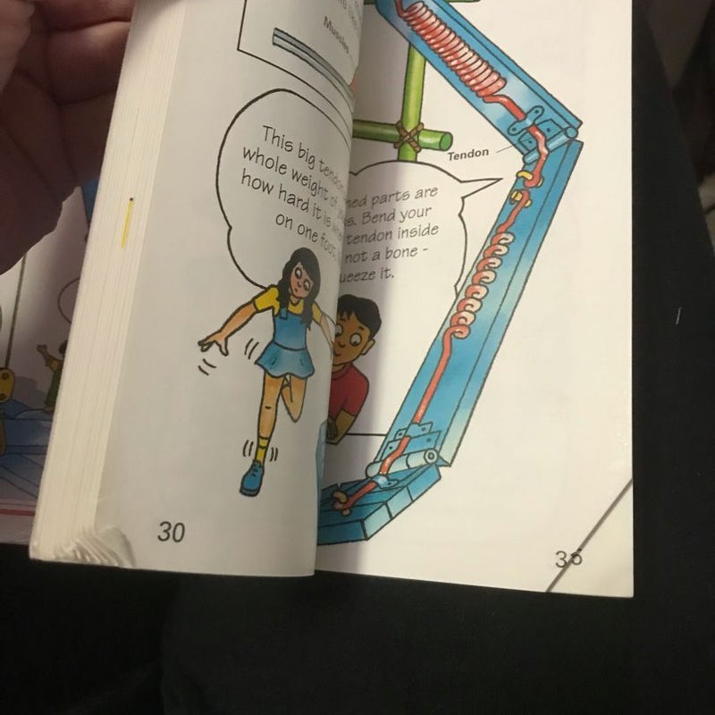 How Your Body Works