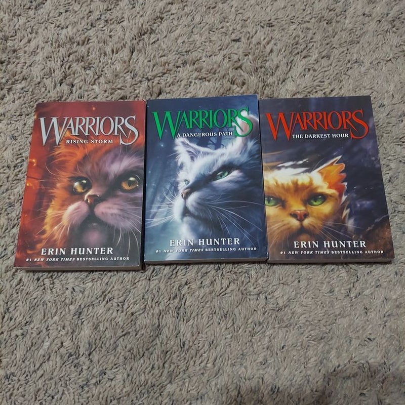 Warrior Cats Series 1 The Prophecies Begin 6 Books by Erin Hunter