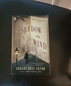 The Shadow of the Wind