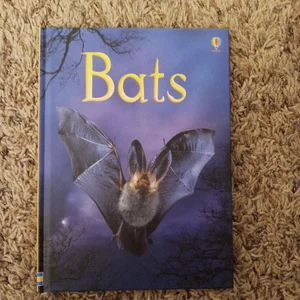 Bats