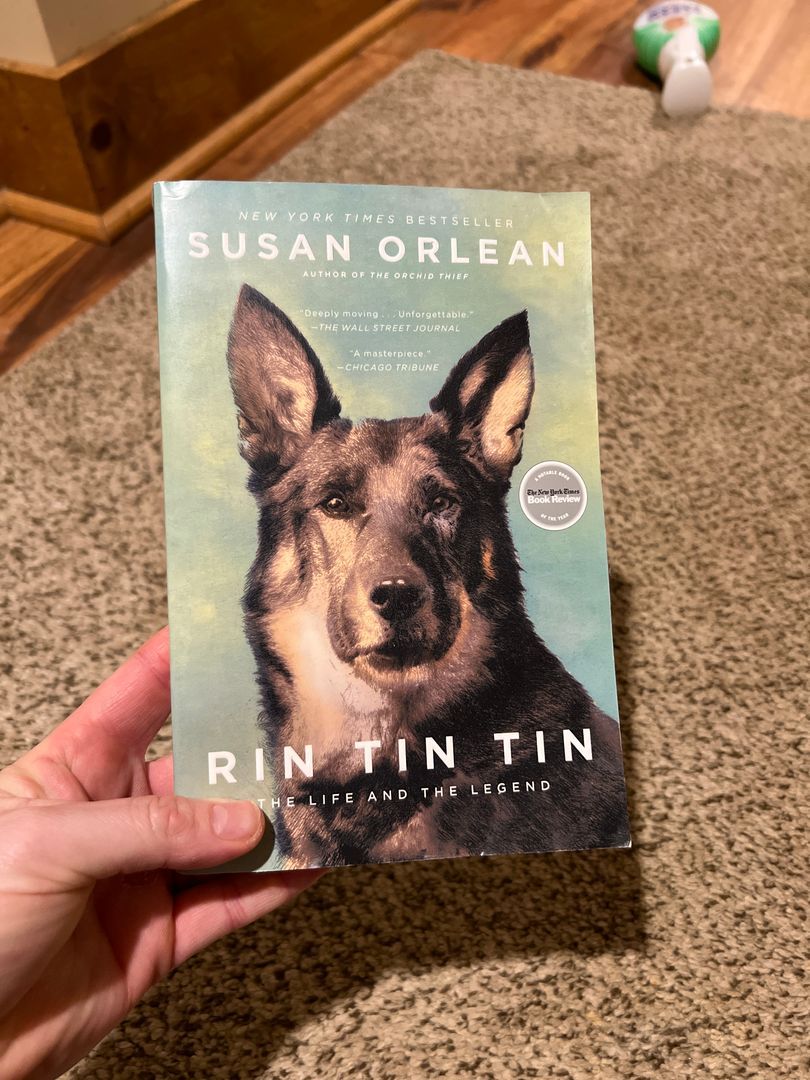 Rin Tin Tin