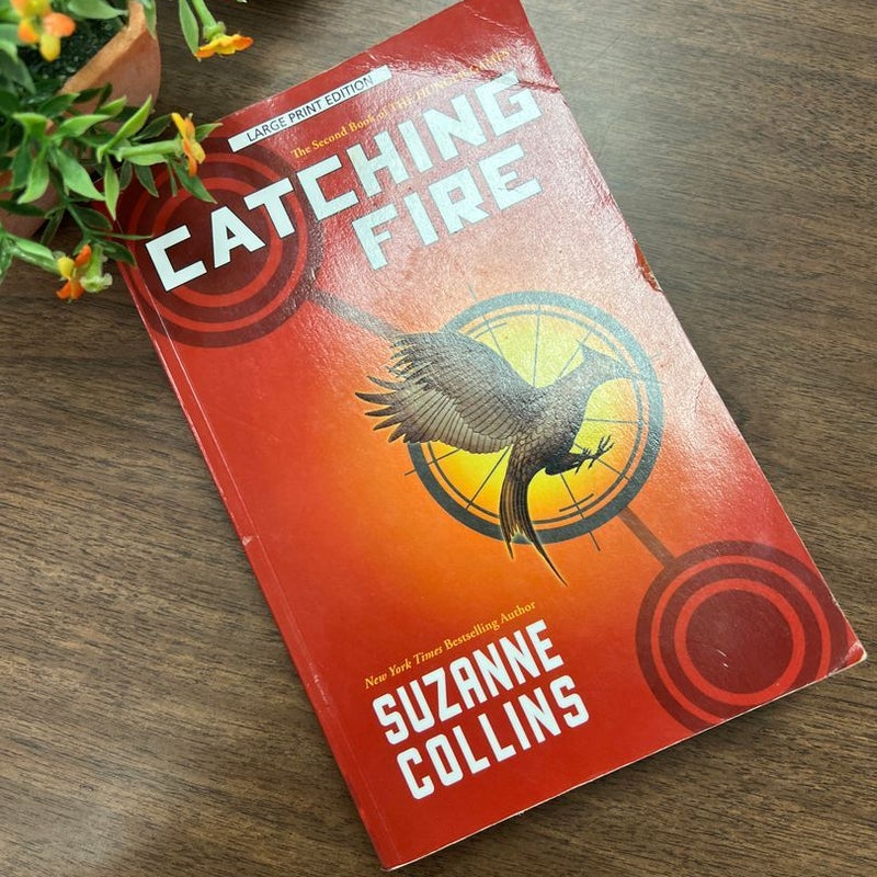 Catching Fire (Large Print)