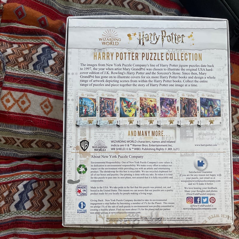 Harry Potter New York Puzzle Company Puzzle