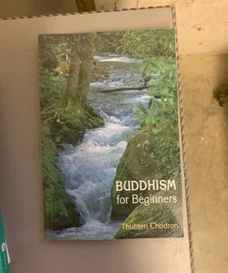 Buddhism for Beginners