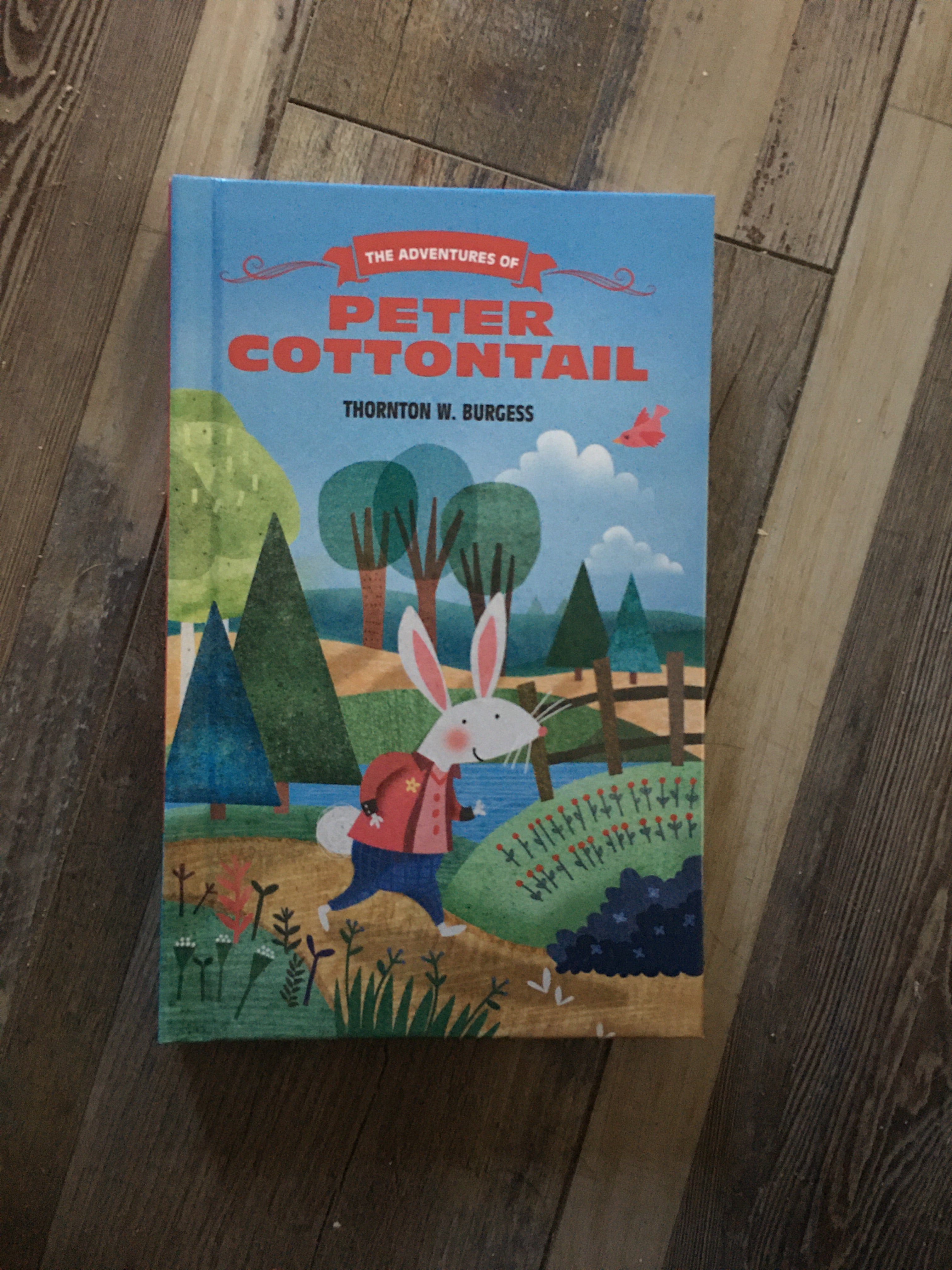 The Adventures of Peter Cottontail