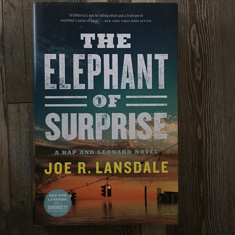 The Elephant of Surprise