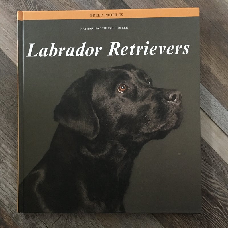 Labrador Retrievers