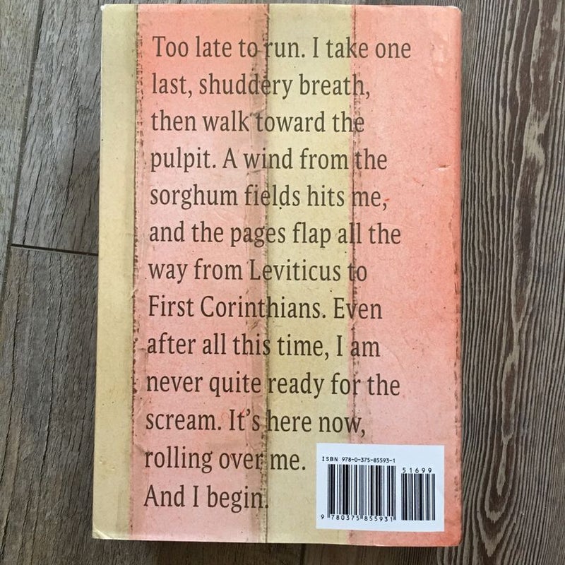Days of Little Texas (First Edition)