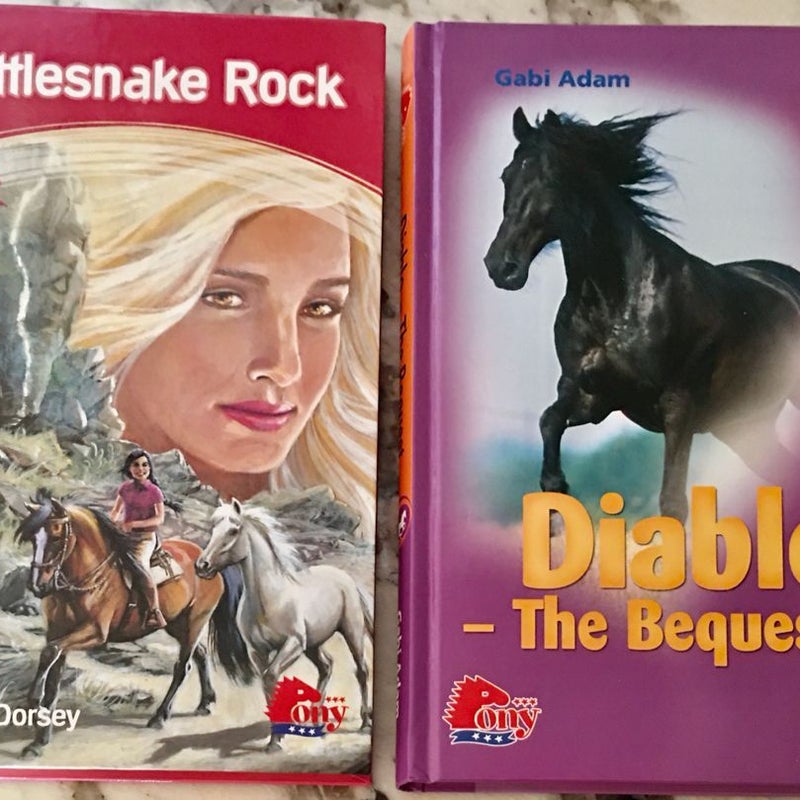 Tween / Young Teen Books About Horses - 10 in All