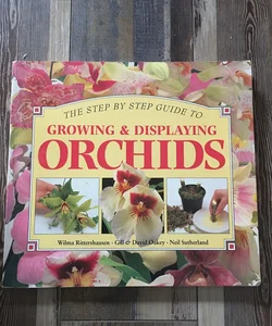 Step-by-Step Guide to Growing and Displaying Orchids
