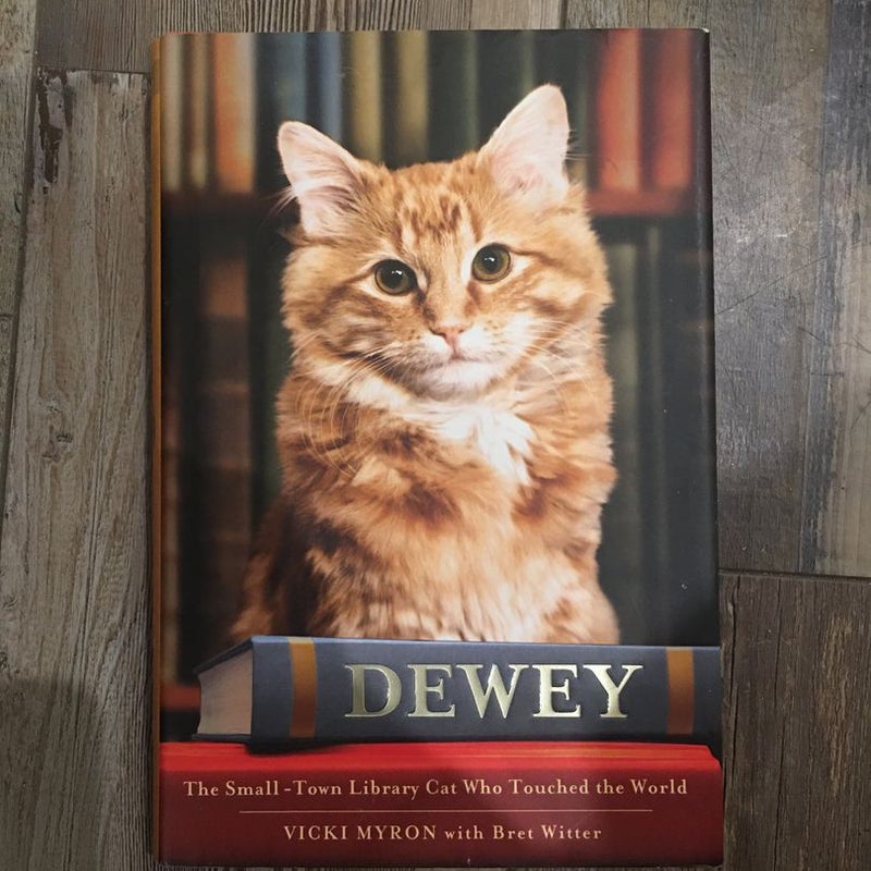 Dewey - First Edition
