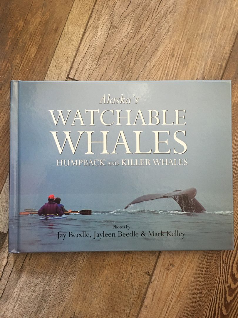 Alaska's Watchable Whales