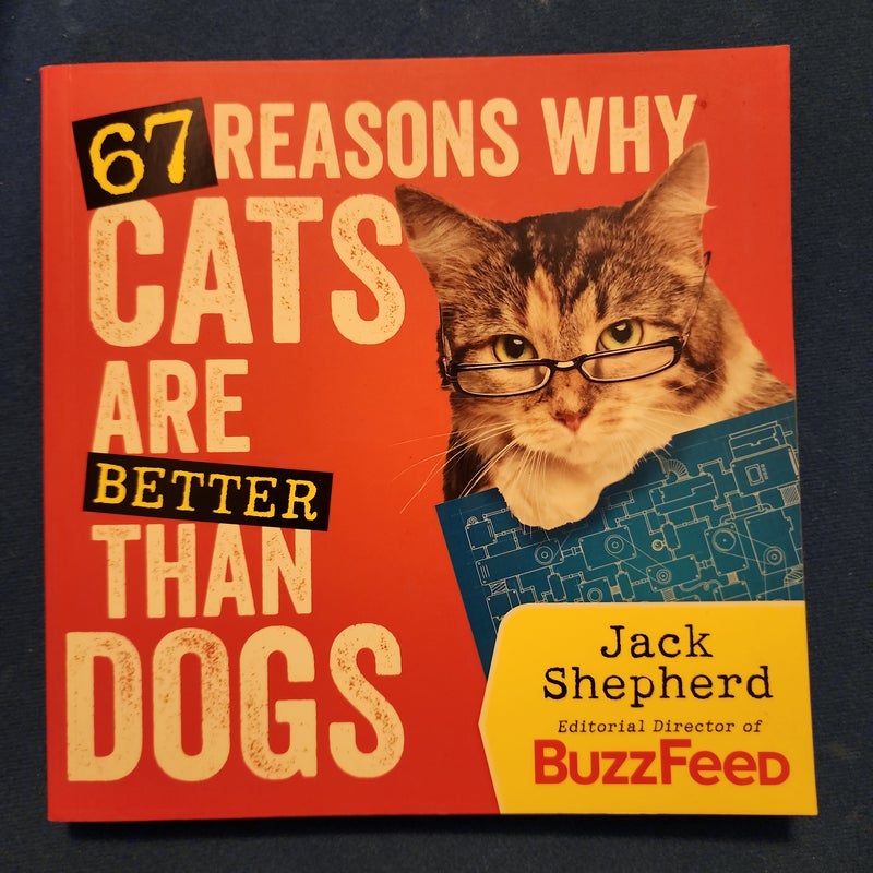 67 Reasons Why Cats Are Better Than Dogs