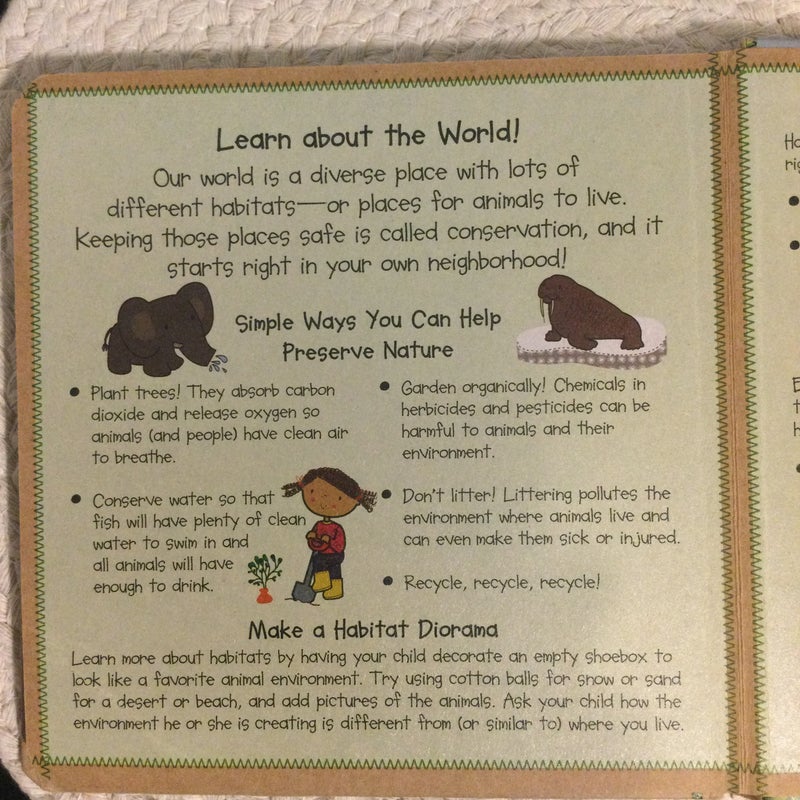 Animals Everywhere