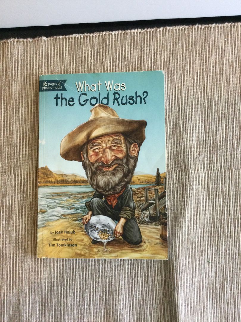 What Was the Gold Rush?