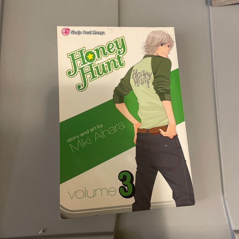 Honey Hunt, Vol. 3