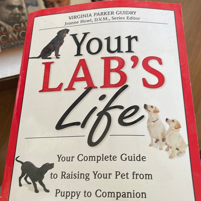 Your Lab's Life