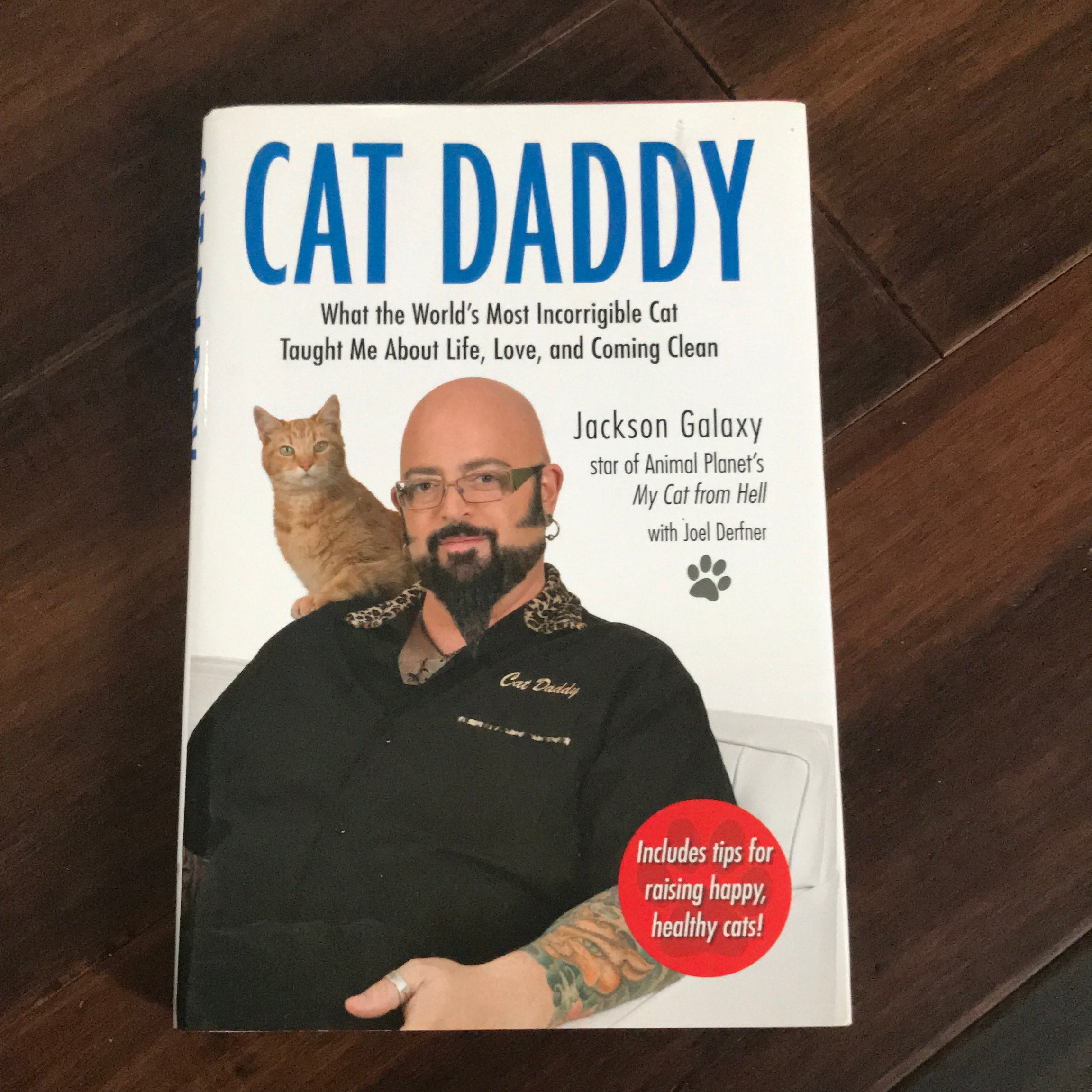 Cat Daddy