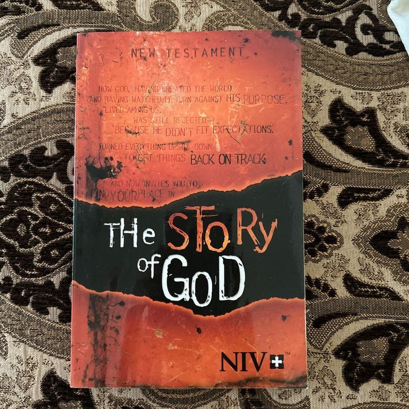 NIV the Story of God, New Testament