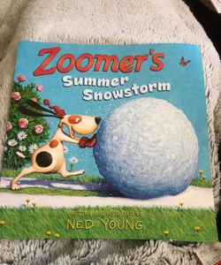 Zoomer’s Summer Snowstorm