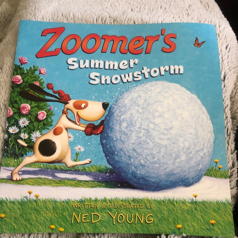 Zoomer’s Summer Snowstorm