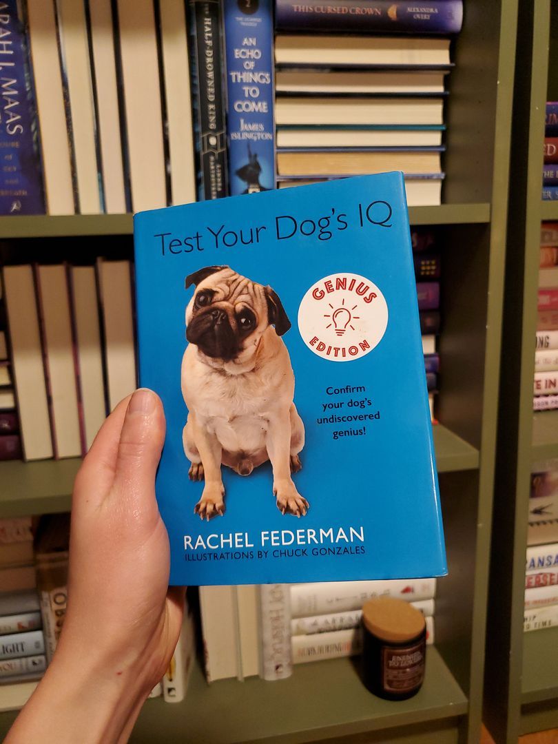 Are Pugs Pug Dog Intelligence Test Your Dog's IQ Genius Edition By