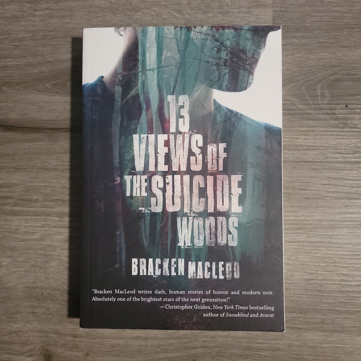 13 Views of the Suicide Woods by Bracken MacLeod