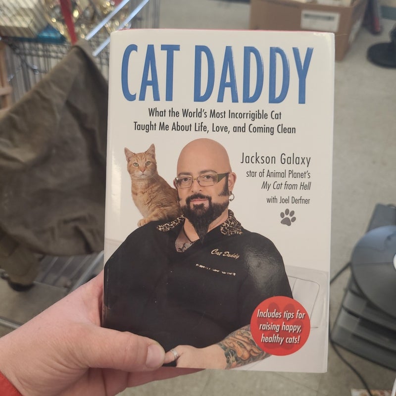 Cat Daddy