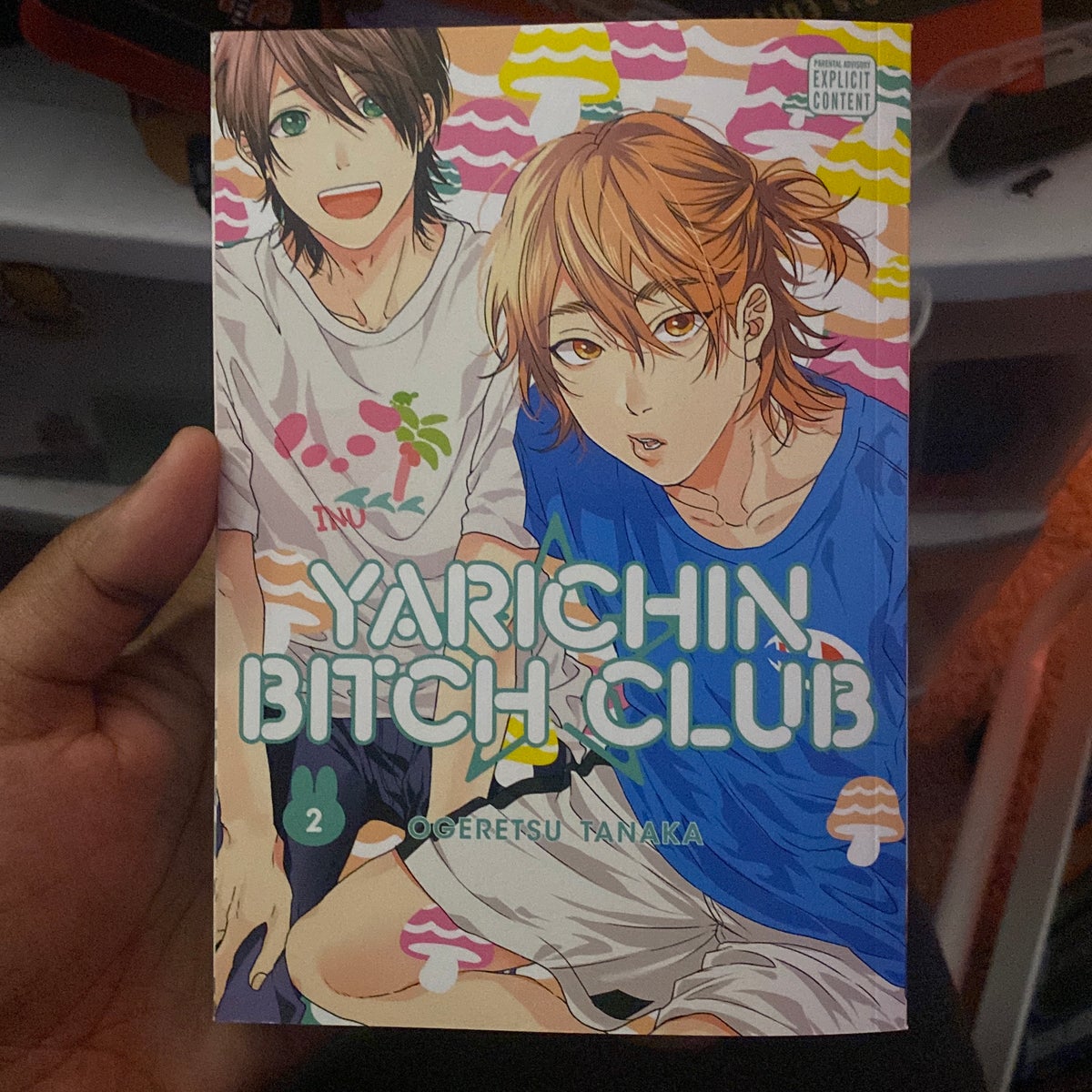 Yarichin Bitch Club, Vol. 2 by Ogeretsu Tanaka