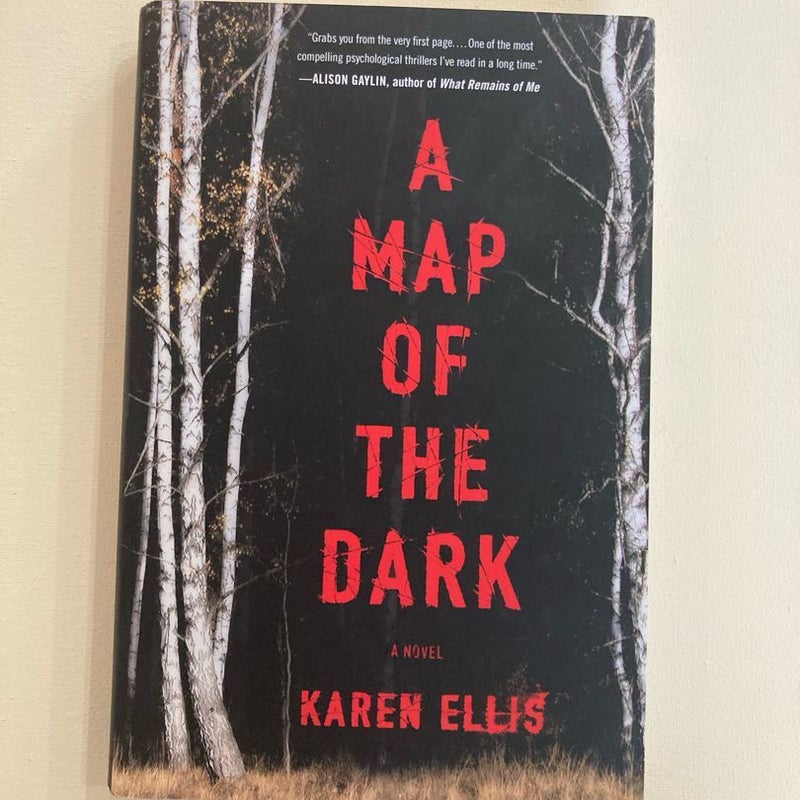 A Map of the Dark