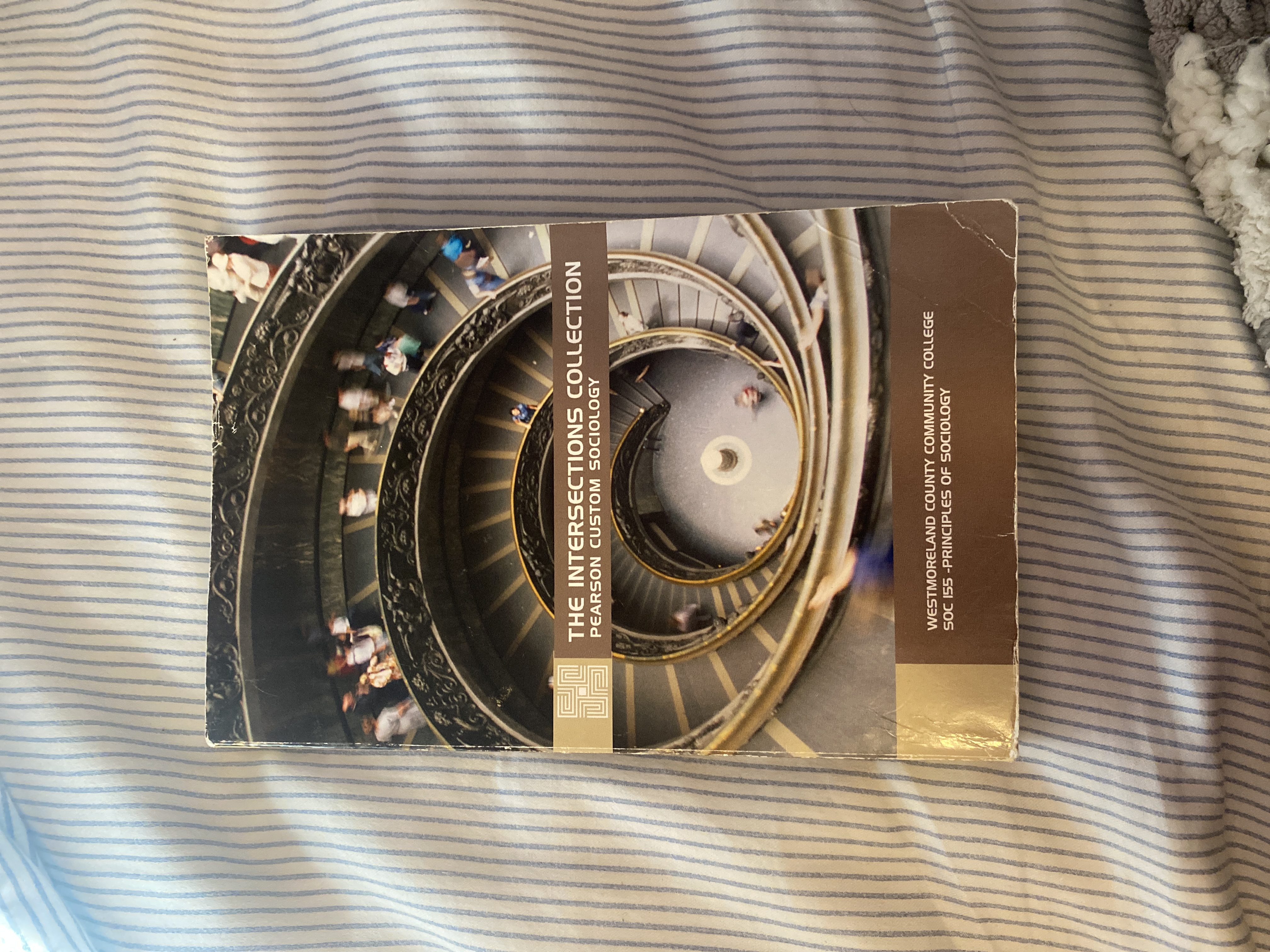 The Intersections Collection Pearson Custom Sociology