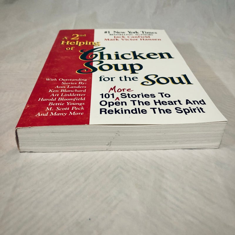 A 2nd helping of chicken soup for the soul