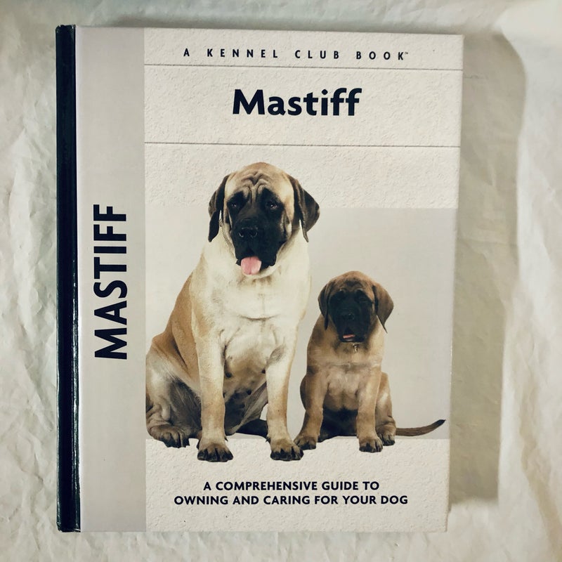 Mastiff