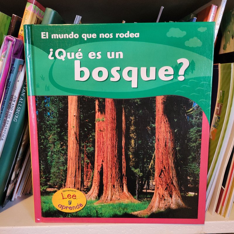 ¿Qué es un Bosque?