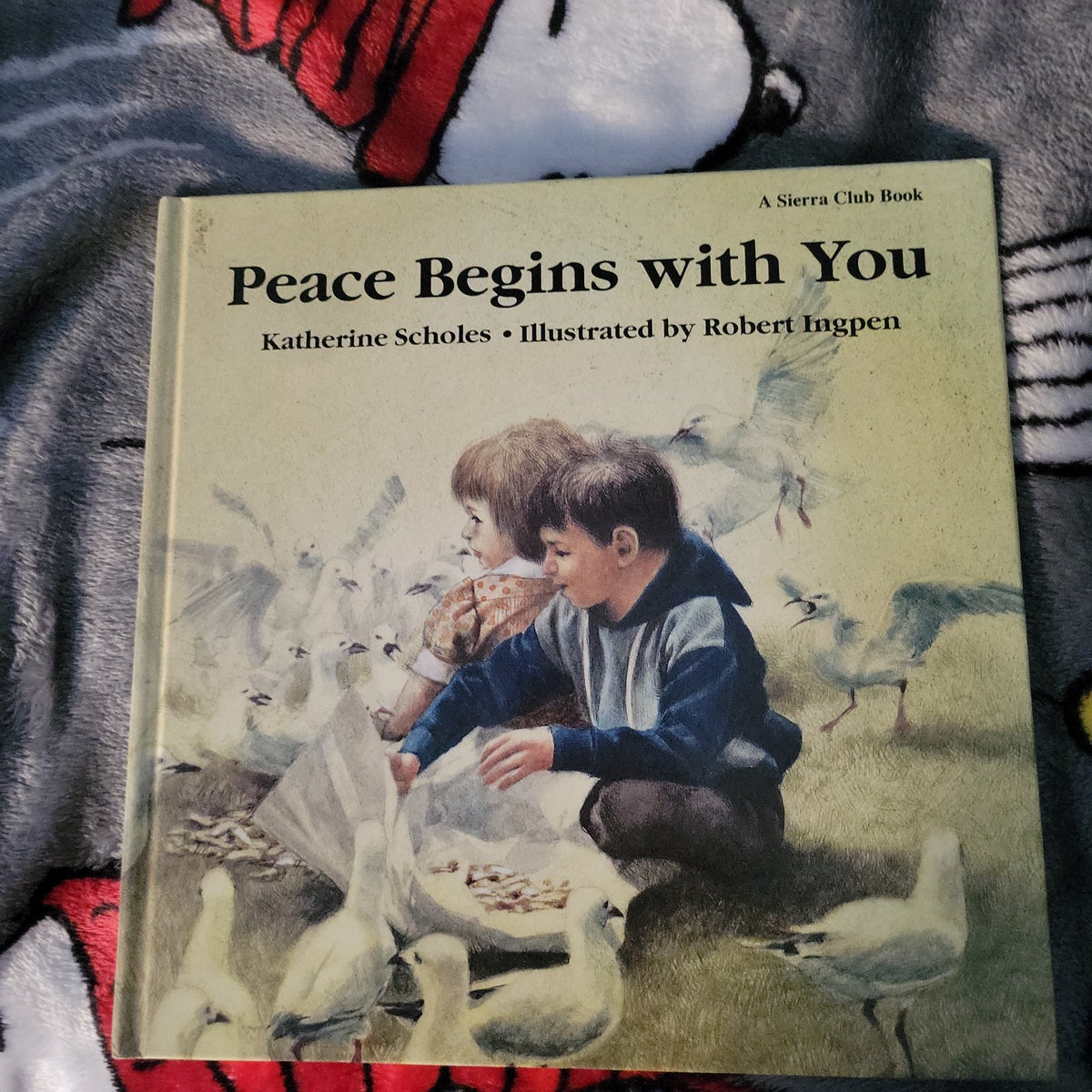 Peace Begins with You by Katherine Scholes, Hardcover Pangobooks