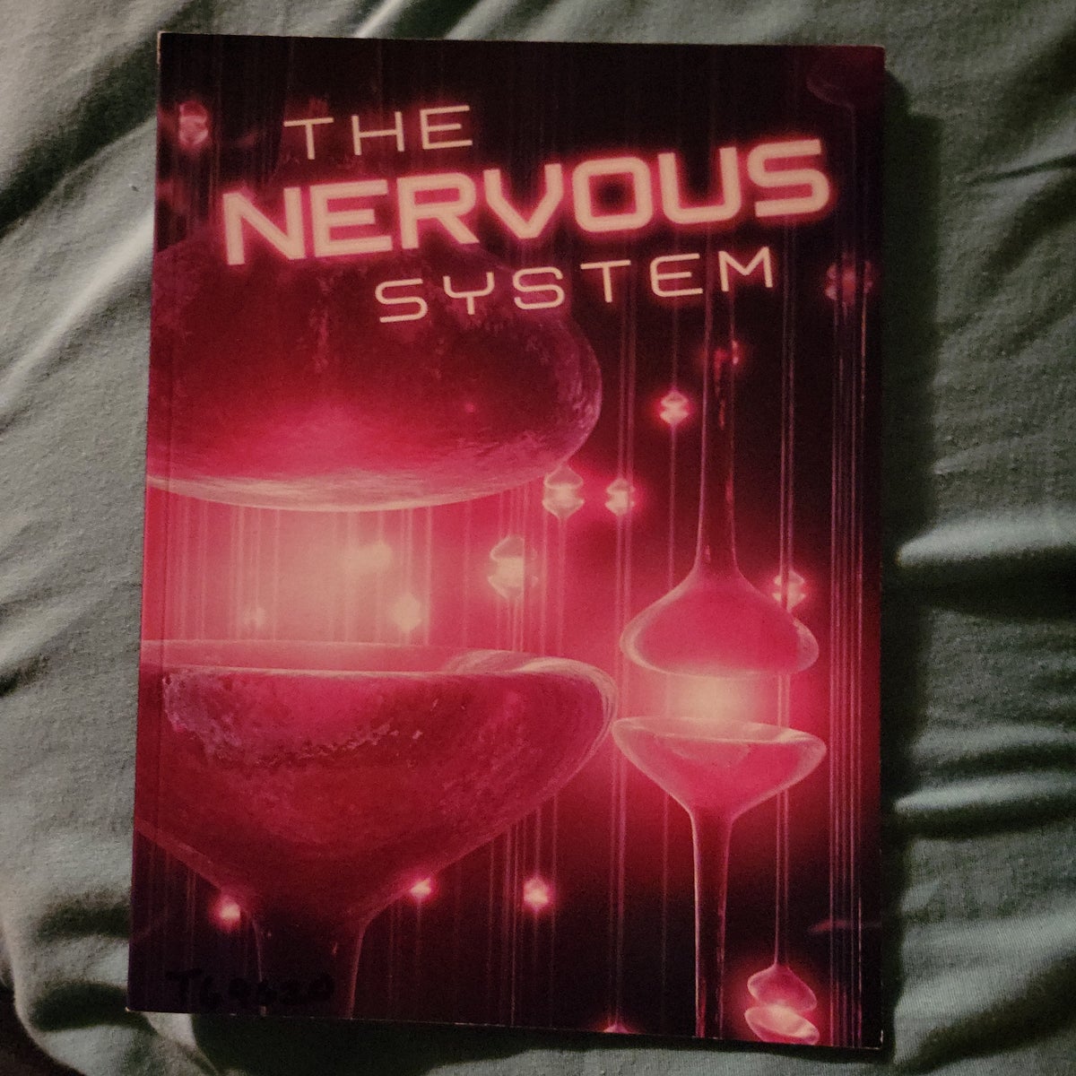 the-nervous-system-by-shirley-duke-paperback-pangobooks