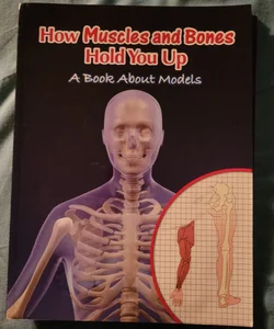 How Muscles and Bones Hold You Up