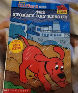 The Stormy Day Rescue