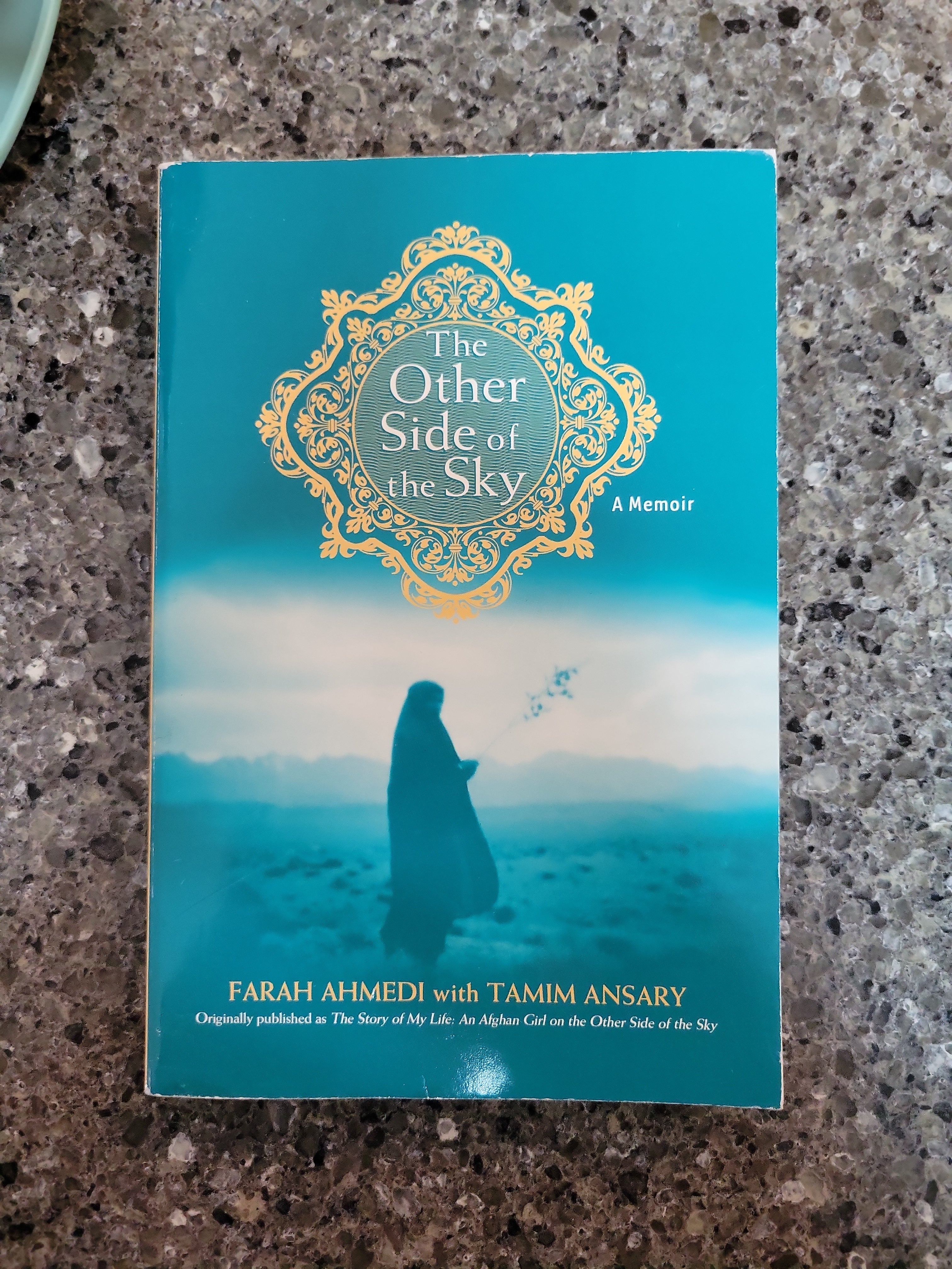 The Other Side of the Sky