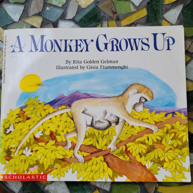 Monkey Grows Up