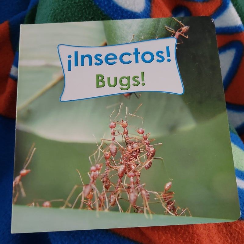 Insectos! (Bugs!)